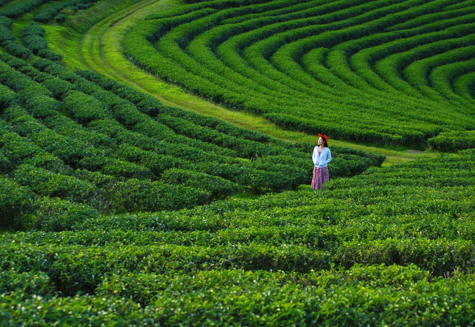 รูปภาพหลัก